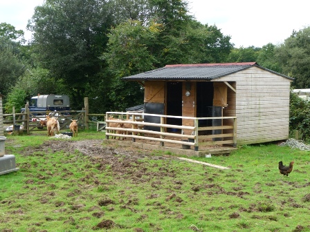 Chapelbarn Goats