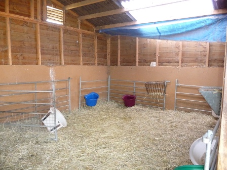 Hardynge Goats