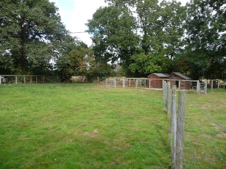 Hogmoor Goats