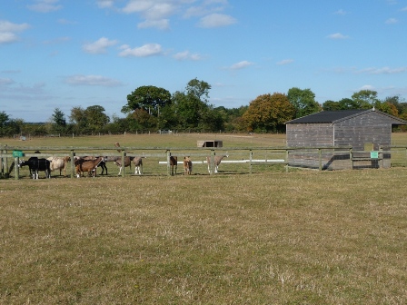 Oddsfarm Park