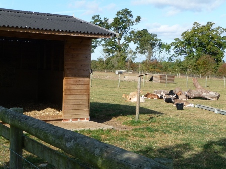 Oddsfarm Park
