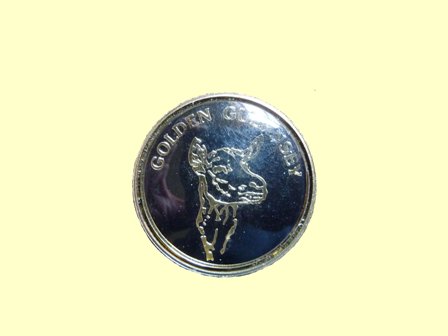Metal badge