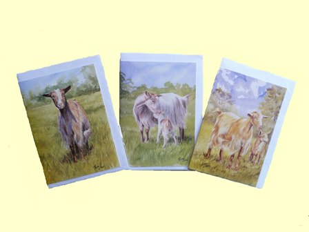 Cards