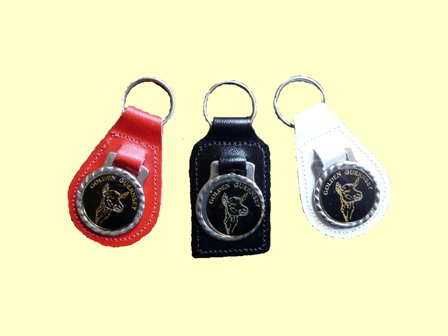 Key ring